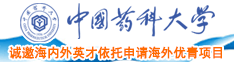 国产性生活日吊添阴道视频中国药科大学诚邀海内外英才依托申请海外优青项目